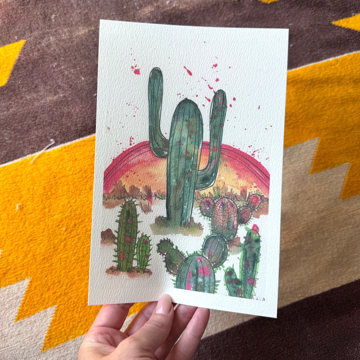 Cacti