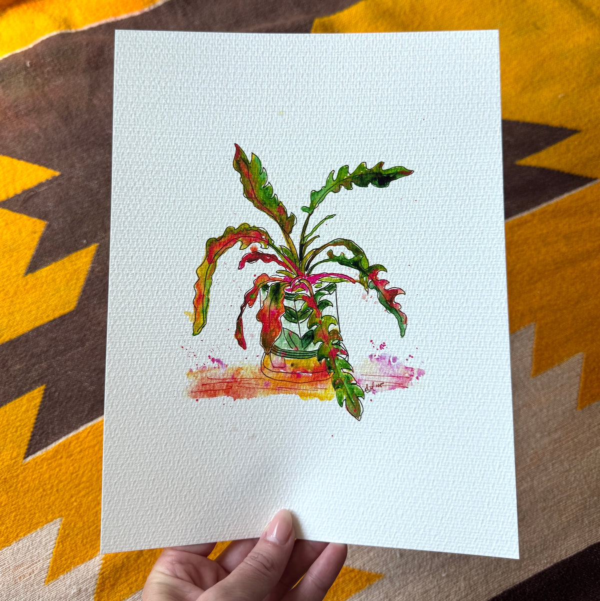 plant baby
