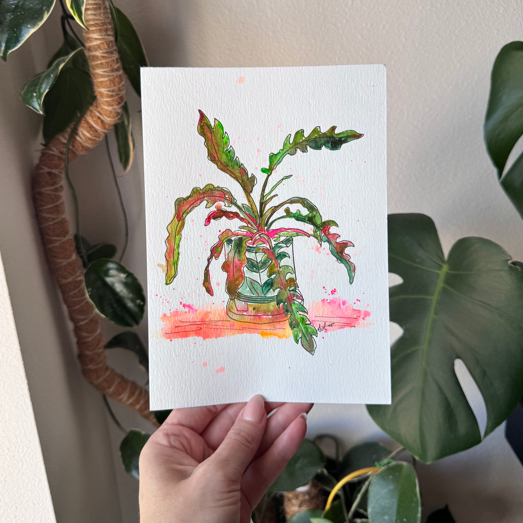 plant baby
