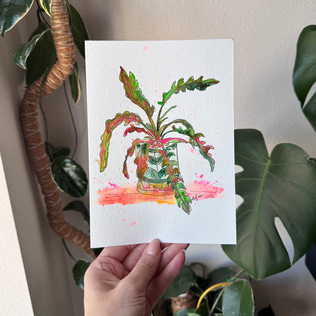 plant baby